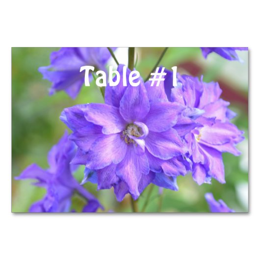 Numéro De Table Joli Delphinium (Devant)
