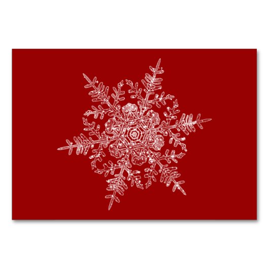 Numéro De Table Lac givré (Dos)