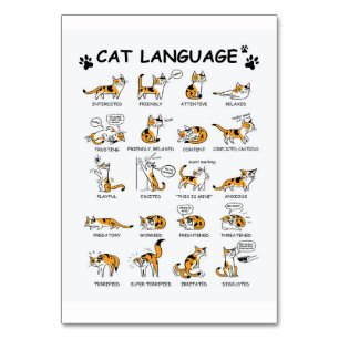Numéro De Table Langue de chat, Drôle Chat Kitten, Aimer Idée cade