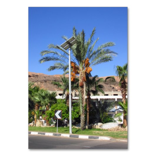 Numéro De Table Les palmiers égyptiens (Par défaut)