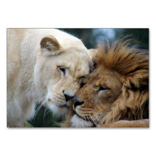 Numéro De Table Lion et Lion