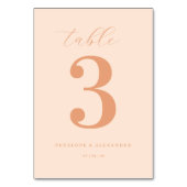 NUMÉRO DE TABLE ___LLMGEN___ 13 (Dos)