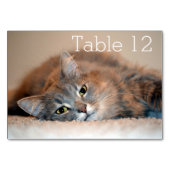 Numéro De Table Long chapeau bleu russe par Shirley Taylor (Dos)