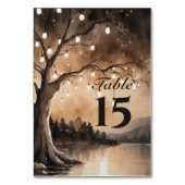 Numéro De Table Lumières À Chaînes Sur Le Mariage campagnard Roman (Par défaut)