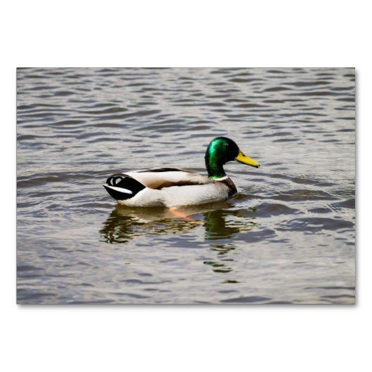 Numéro De Table Mallard Duck (Devant)