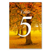 Numéro De Table Mariage, Arbres d'automne, numérotés (Dos)