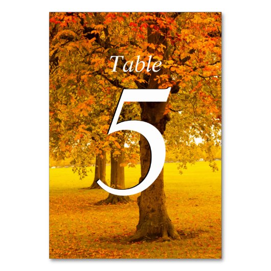 Numéro De Table Mariage, Arbres d'automne, numérotés (Dos)