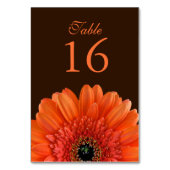 Numéro De Table Mariage Brown Orange Gerbera Daisy (Dos)