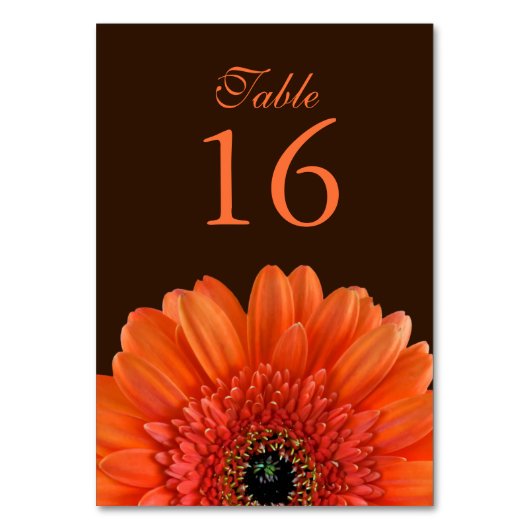 Numéro De Table Mariage Brown Orange Gerbera Daisy (Dos)