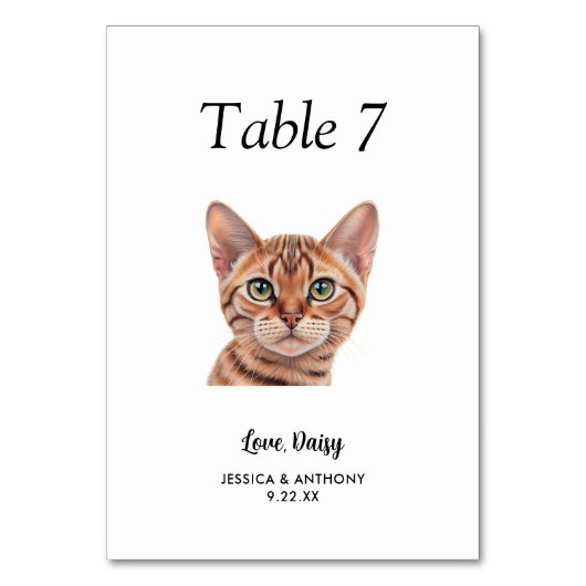 Numéro De Table Mariage Chat Aquarelle Moderne Simple (Par défaut)