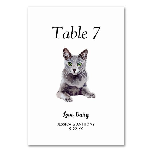 Numéro De Table Mariage Chat Aquarelle Moderne Simple (Par défaut)