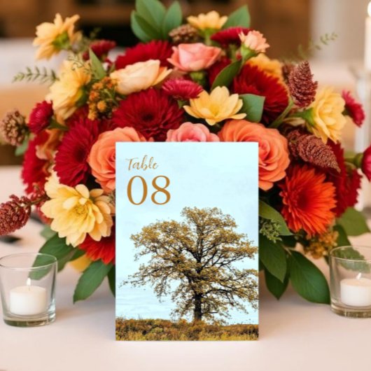 Numéro De Table Mariage d'automne sous un chêne rustique