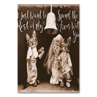 Numéro De Table Mariage de chat vintage |Conception de chats migno