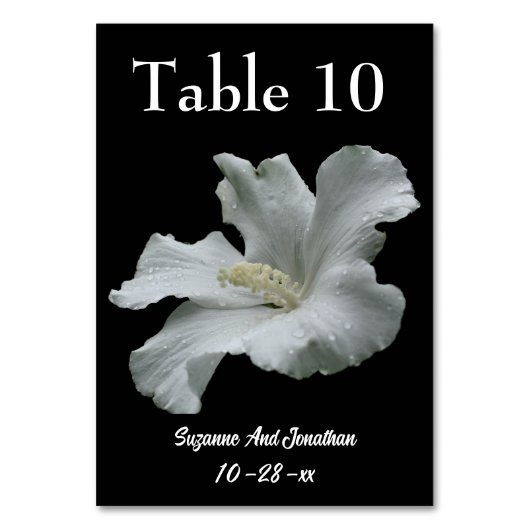 Numéro De Table Mariage de fleurs d'Hibiscus blanc (Par défaut)