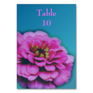 Numéro De Table Mariage de fleurs rose Zinnia