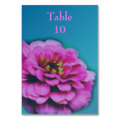 Numéro De Table Mariage de fleurs rose Zinnia (Dos)
