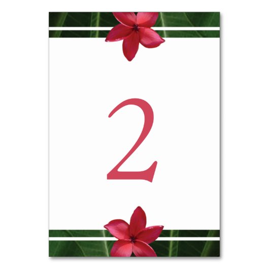 Numéro De Table Mariage de la Plumeria Rouge Frangipani (Par défaut)