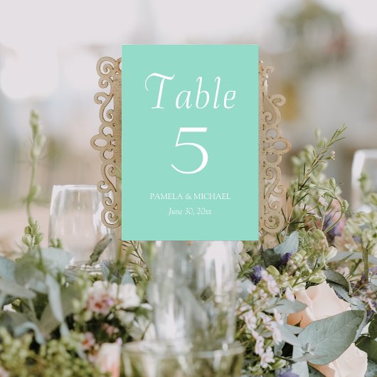 Numéro De Table Mariage de style simple Seafoam