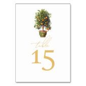 Numéro De Table Mariage d'été Orange Fruit (Par défaut)