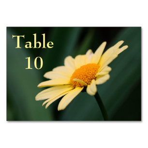 Numéro De Table Mariage Fleur de marguerite jaune