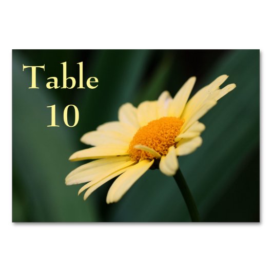 Numéro De Table Mariage Fleur de marguerite jaune (Devant)