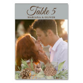 Numéro De Table Mariage gris pin d'hiver Numéro de tableau (Par défaut)