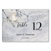 Numéro De Table Mariage hivernal à lanterne de neige mousseuse (Devant)