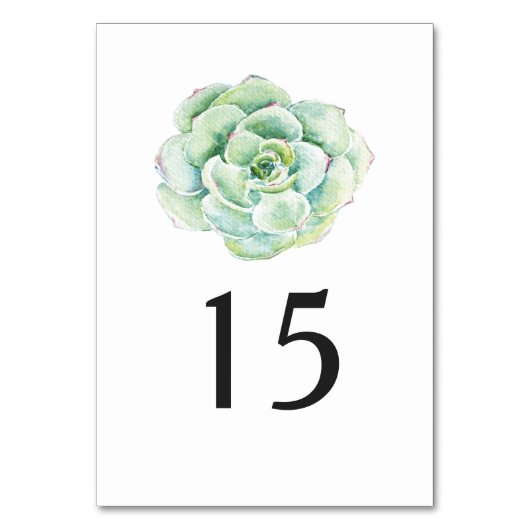 numéro de table mariage succulent aquarelle (Par défaut)