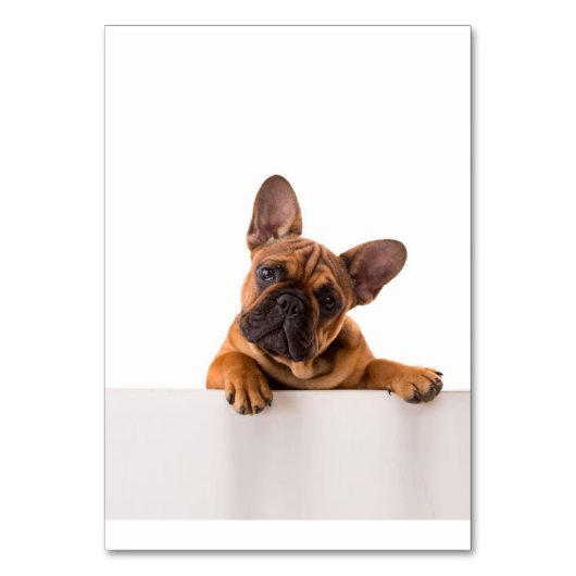 Numéro De Table mignon Bulldog | Vraiment mignon, Bulldog anglais (Par défaut)