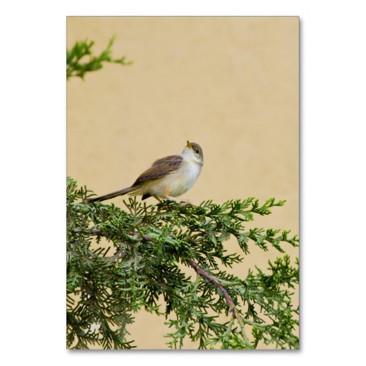 Numéro De Table Moineau (Par défaut)