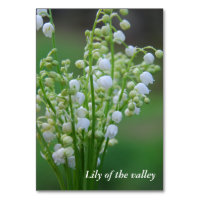 Muguet de mai