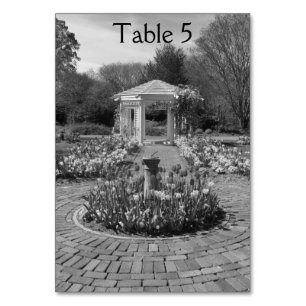 Numéro De Table Nature design blanc nombre de tableau