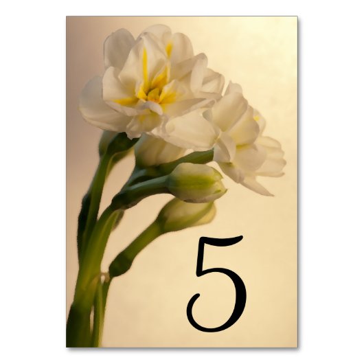 Numéro De Table Numéros de tableau blanc double jonquilles (Par défaut)