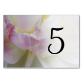 Numéro De Table Numéros de tableau des fleurs de tulipes roses et  (Dos)