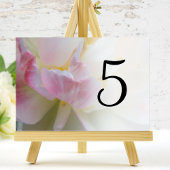 Numéro De Table Numéros de tableau des fleurs de tulipes roses et 