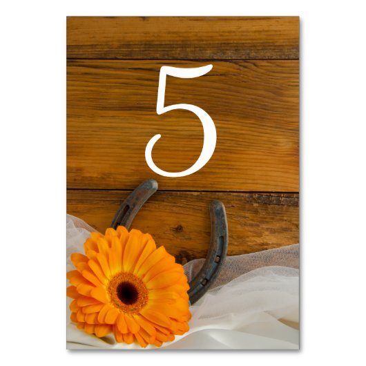 Numéro De Table Orange Daisy et Horseshoe Mariage occidental (Dos)