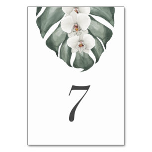 Numéro De Table Orchidée blanche sur Monstera Mariage tropical