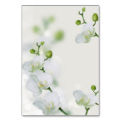 Numéro De Table Orchidée douce et élégante (Dos)