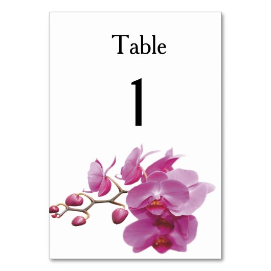 Numéro De Table Orchidées Packages Mariages bon marché ensembles d (Par défaut)