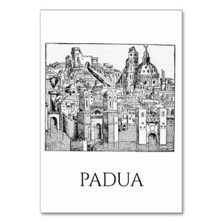 Numéro De Table Padua Minimaliste Ciel Médiéval Art Linéaire
