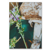 Numéro De Table Parasol mushroom, Swedish Archipelago, Sweden (Dos)