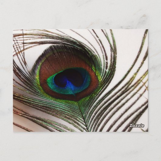 Numéro de table Peacock Feather Glamour (Dos)