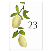 Numéro De Table Peinture de Citron Frais Moderne Méditerranéen (Dos)