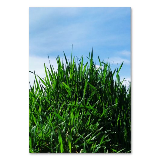 Numéro De Table Pelouse verte contre l'arrière - plan de l'intermi (Par défaut)