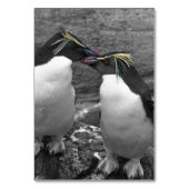 Numéro De Table Penguin Colour Splash (Dos)