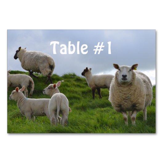 Numéro De Table Personnaliser (Devant)