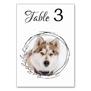 Numéro De Table Photo pour animaux de compagnie moderne Mariage bo
