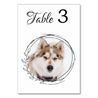 Numéro De Table Photo pour animaux de compagnie moderne Mariage bo