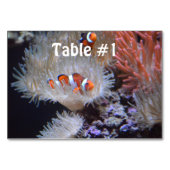 Numéro De Table Poisson clown (Devant)