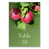 Numéro De Table Pommes sur le Mariage de la nature de l'arbre (Dos)